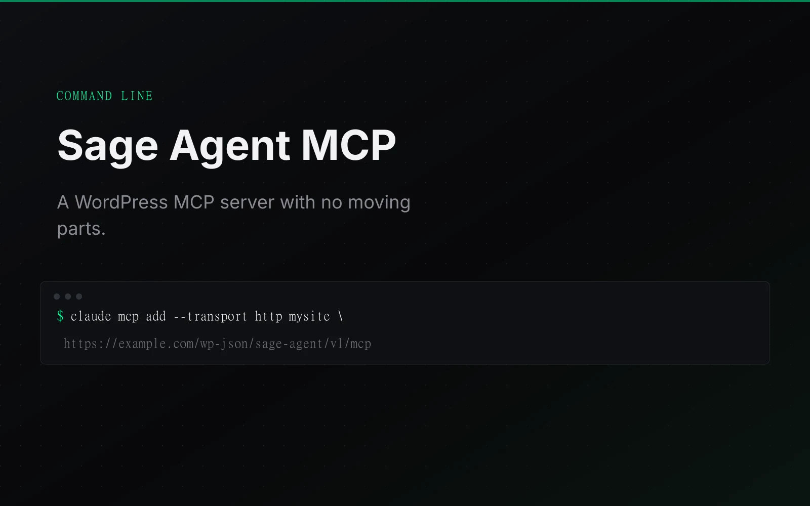 Sage Agent MCP screenshot